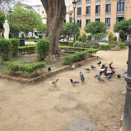 Del Parque Flats Monkey 1 Apartment Malaga Luaran gambar