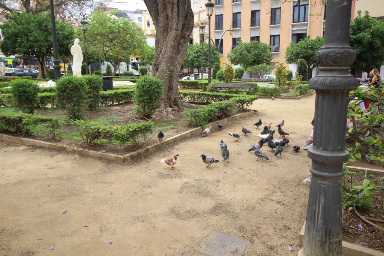 Del Parque Flats Monkey 1 Apartment Malaga Luaran gambar